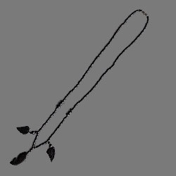 COLLAR DE ACERINA