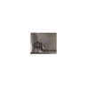 COLLAR DE METAL